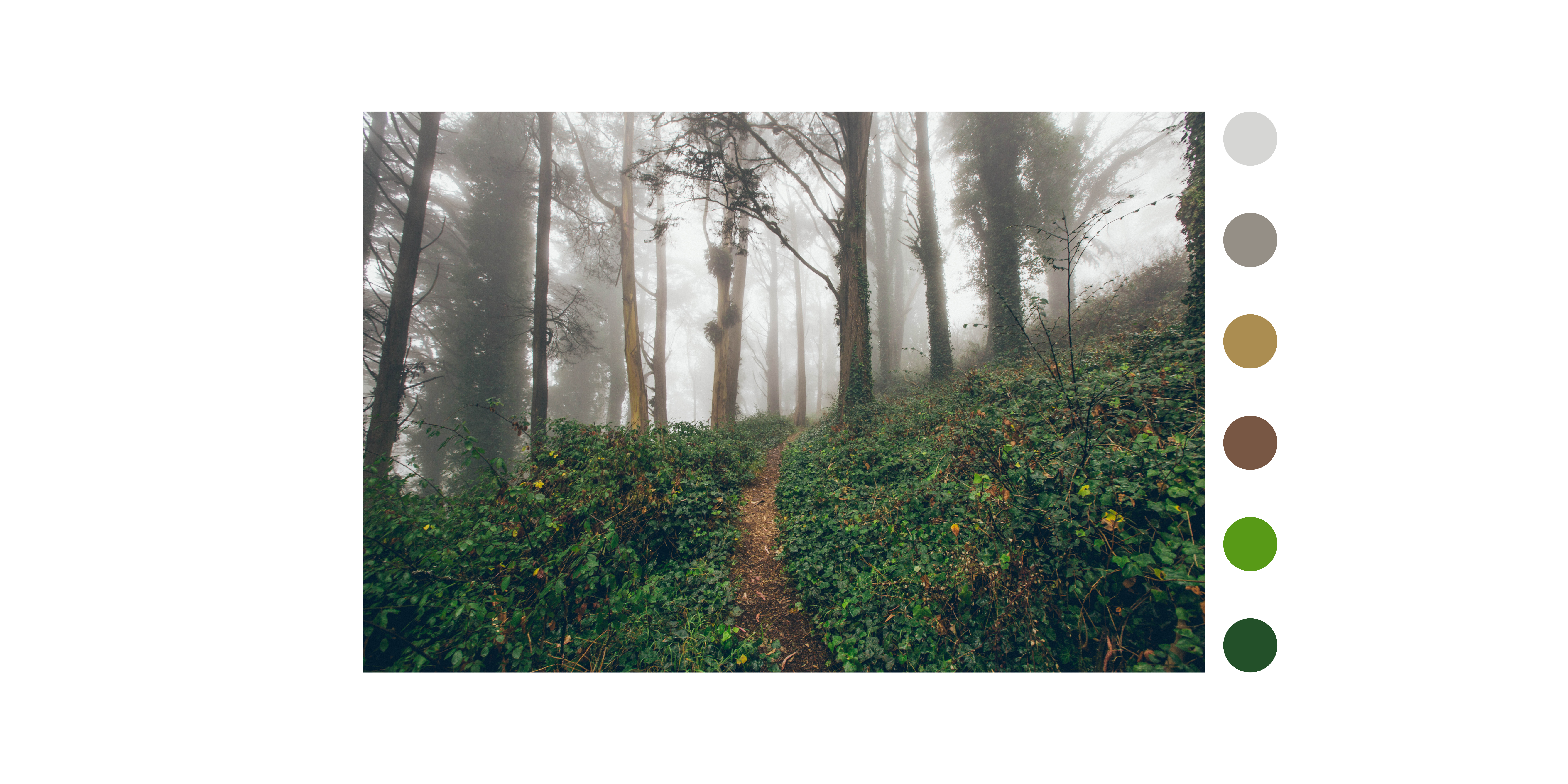 Mt Davidson