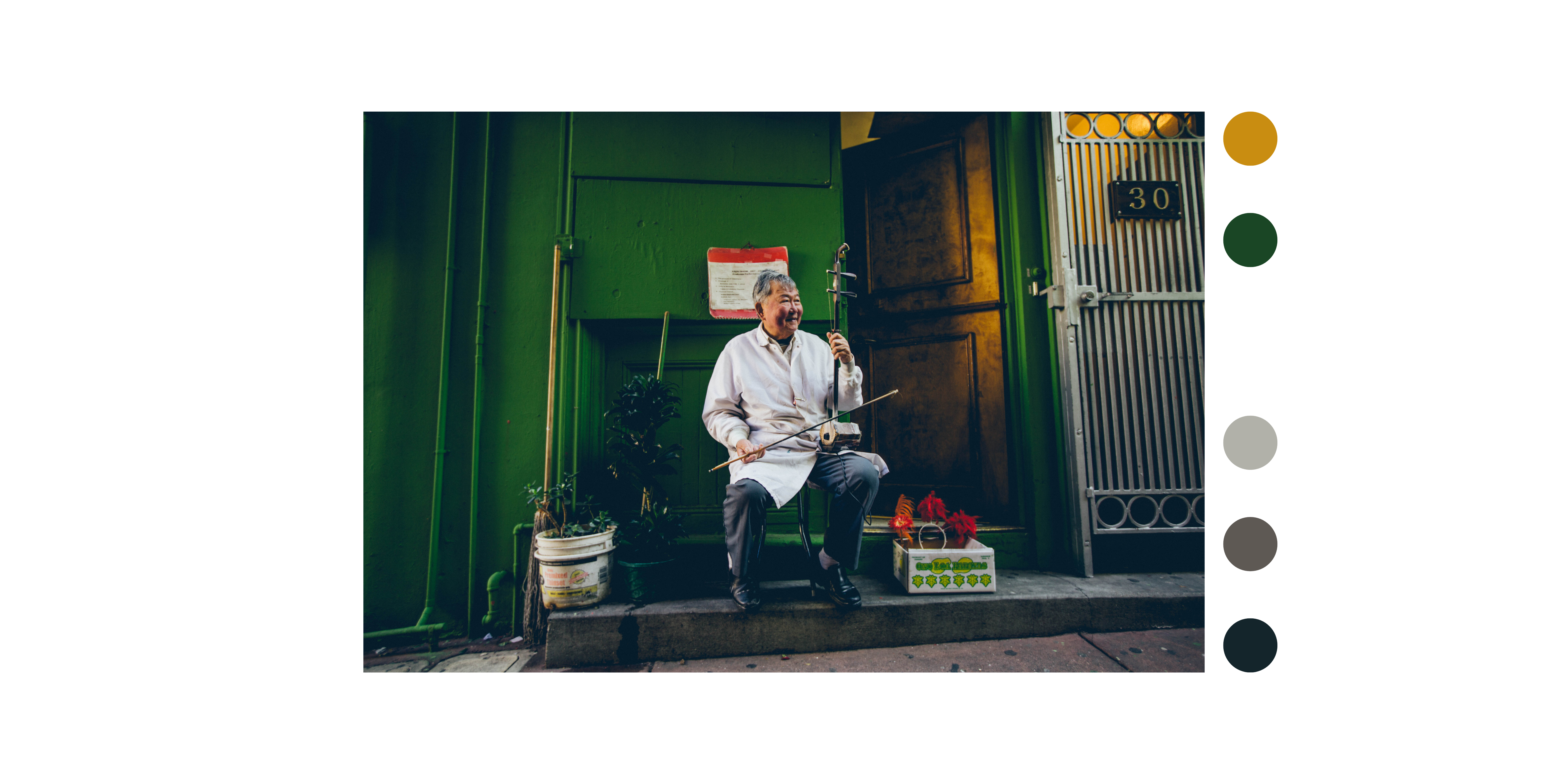 Musician