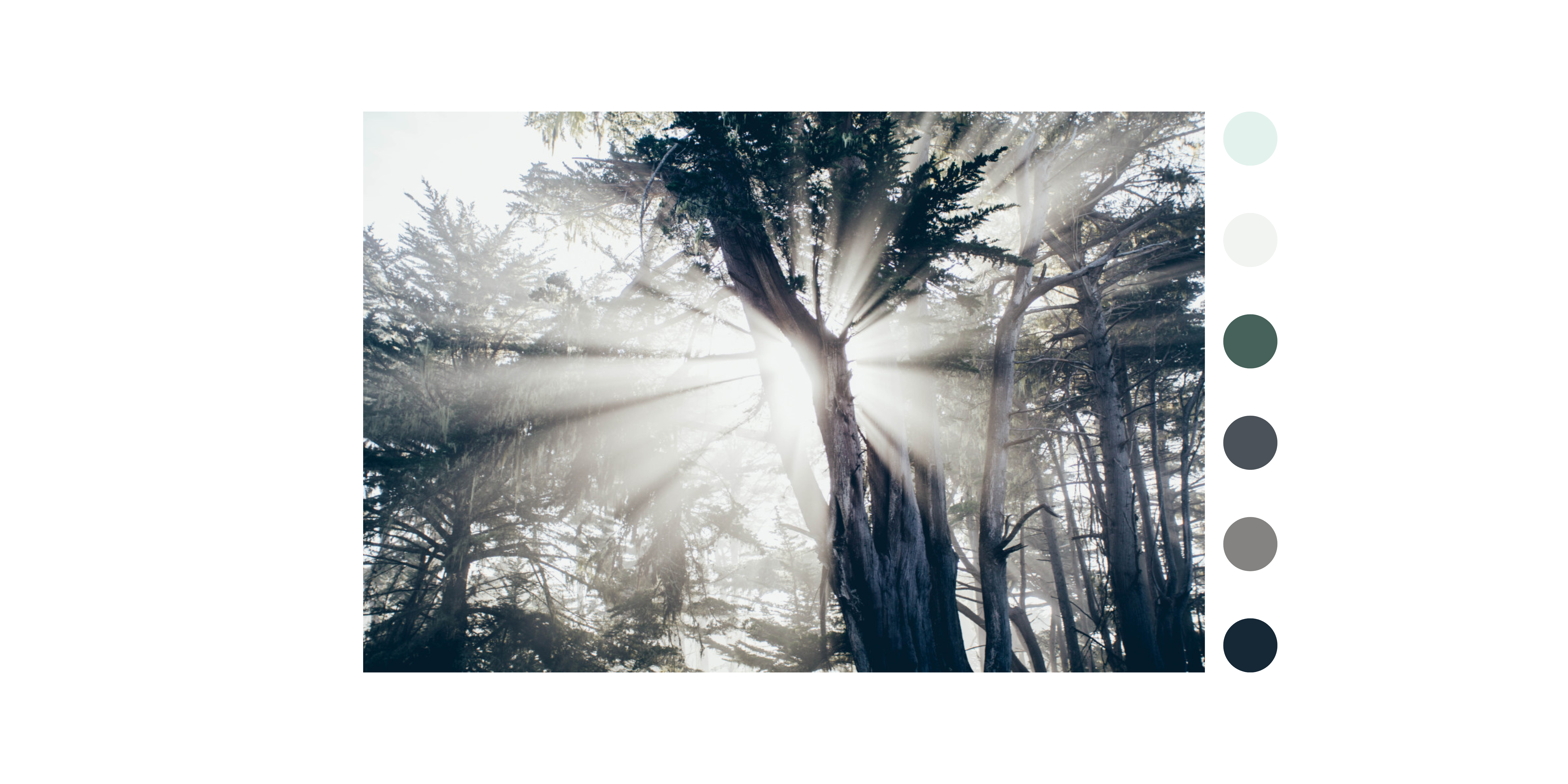 Sunray
