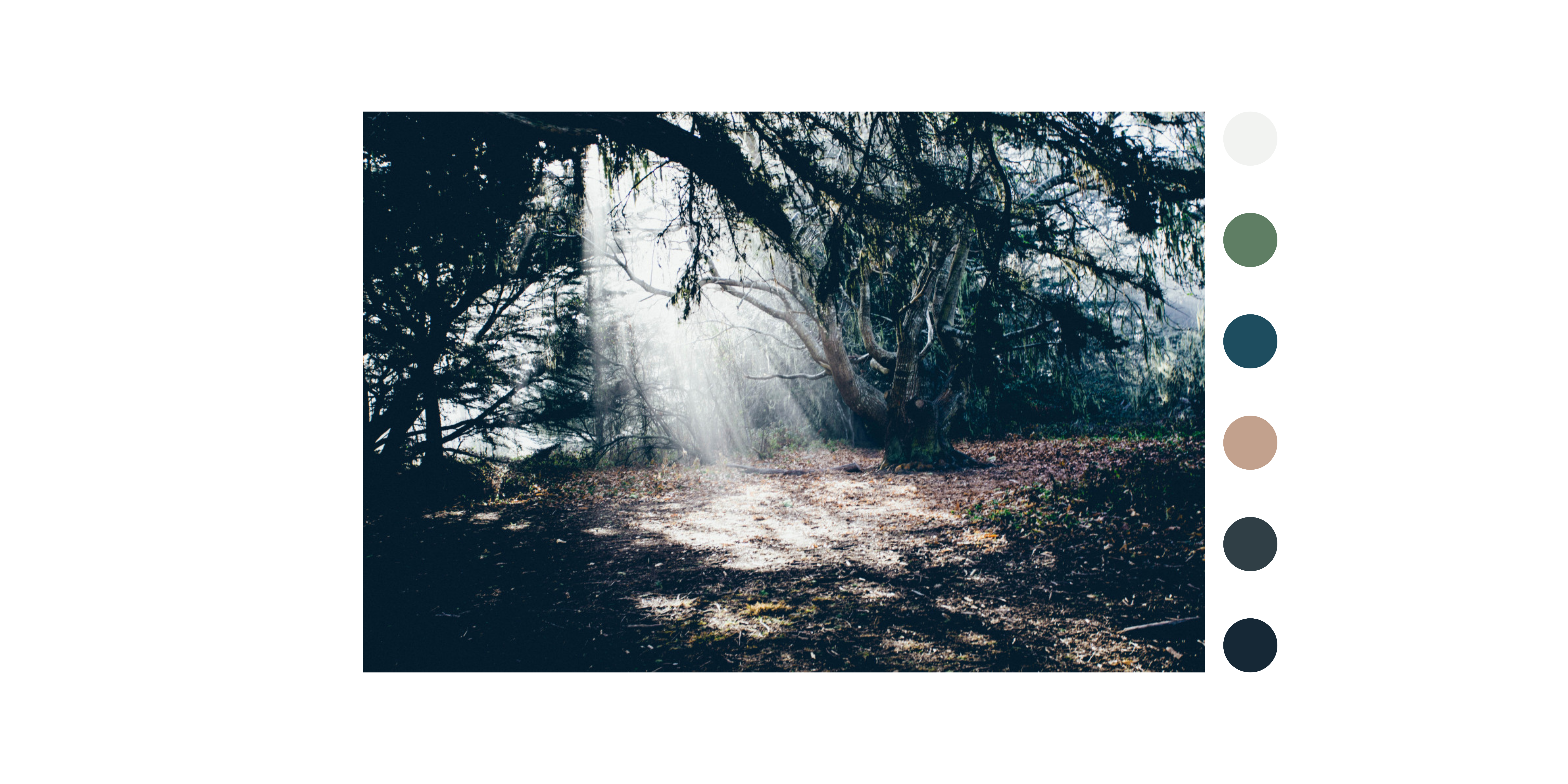 Sunray II
